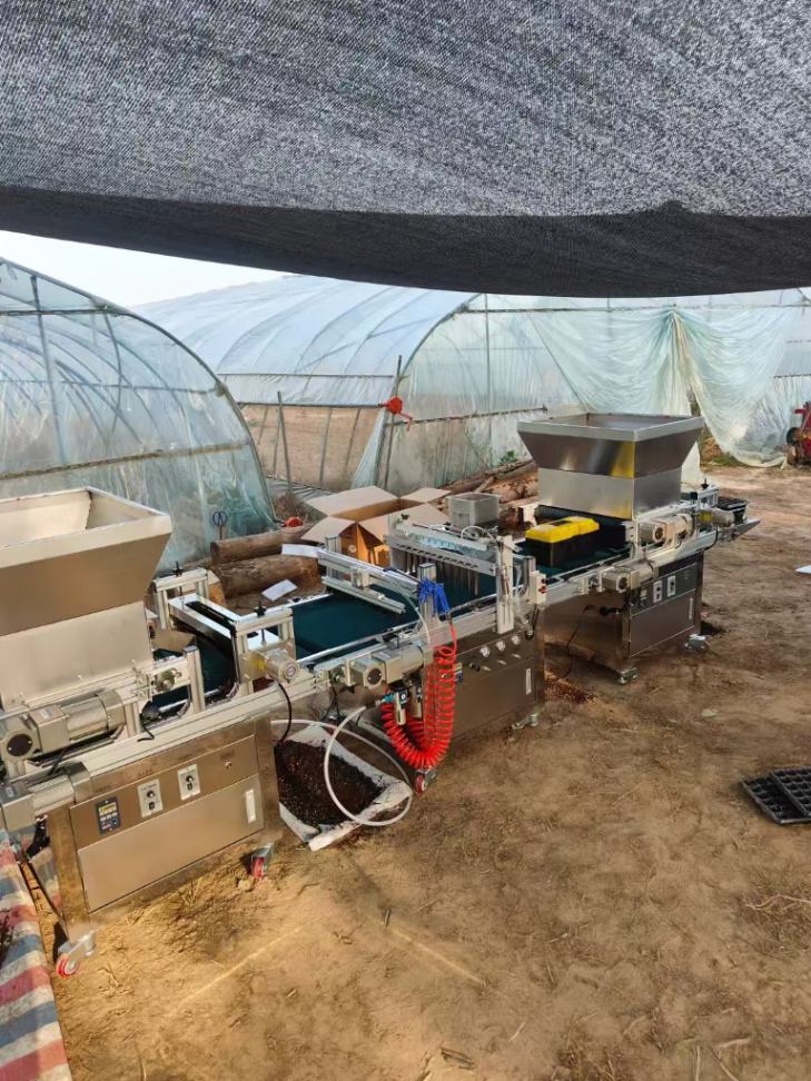 Máquina de Enxertia de Bandeja - Nursery avaliação e preço